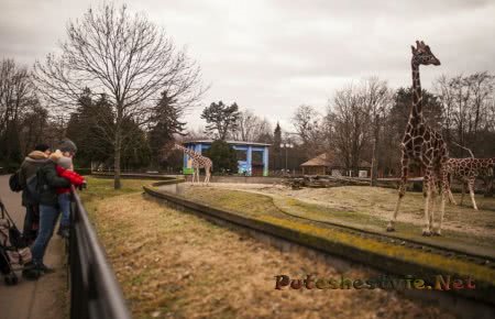 Вроцлавский зоопарк