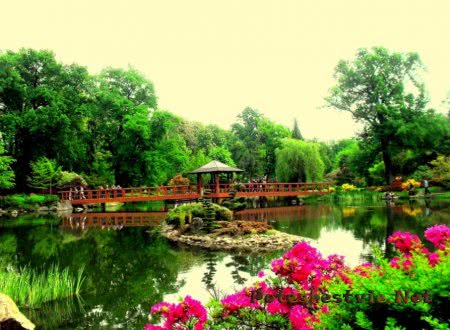 Японский сад