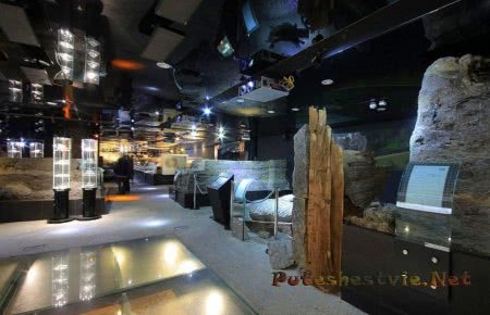 Филиал исторического музея «Podziemia Rynku» Филиал исторического музея «Podziemia Rynku»