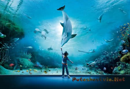 Аквариум Генуи Аквариум Генуи