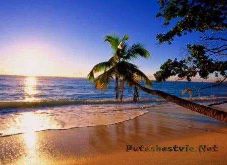 Как дешевле отдыхать на море самостоятельно или туром? Как дешевле отдыхать на море самостоятельно или туром?