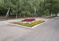 клумба в парке победы клумба в парке победы