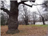 Коломенский парк-усадьба в Москве