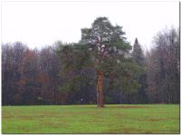 Царицыно – музей-заповедник Москвы