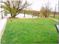 Пруды Царицынской усадьбы