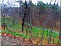 Парк усадьбы Архангельское