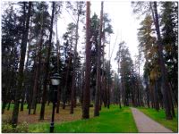 Парк усадьбы Архангельское