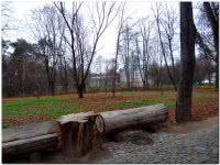 Парк усадьбы Архангельское