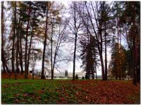 Парк усадьбы Архангельское