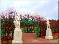 Парк усадьбы Архангельское