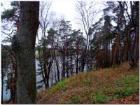 Парк усадьбы Архангельское