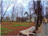 Парк усадьбы Архангельское