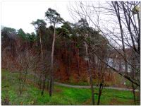 Парк усадьбы Архангельское