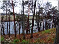 Парк усадьбы Архангельское