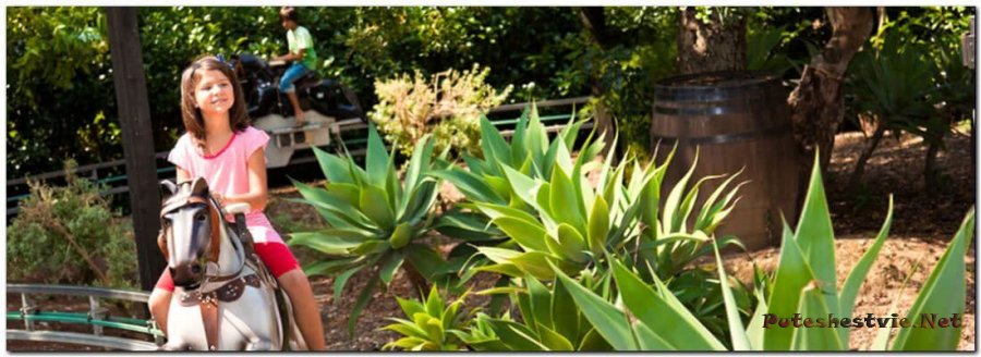 Аттракцион «Los Potrillos»