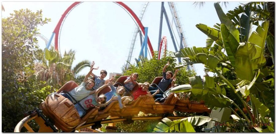 Аттракцион «Tami-Tami»