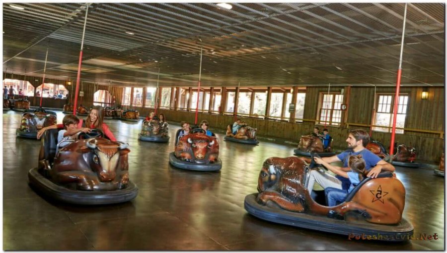 Аттракцион «Buffalo Rodeo»