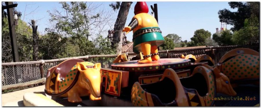 Аттракцион «Armadillos»