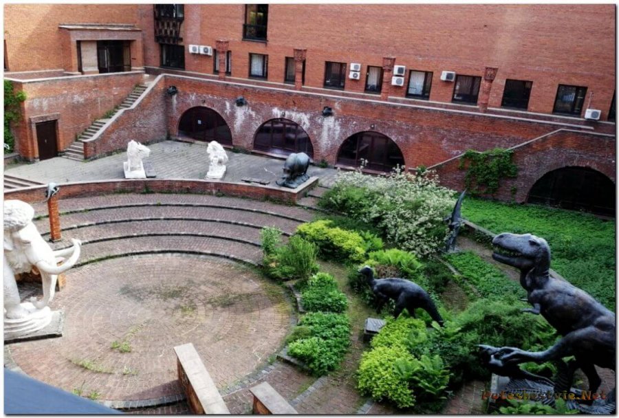 Палеонтологический музей им. Ю.А. Орлова Палеонтологический музей им. Ю.А. Орлова