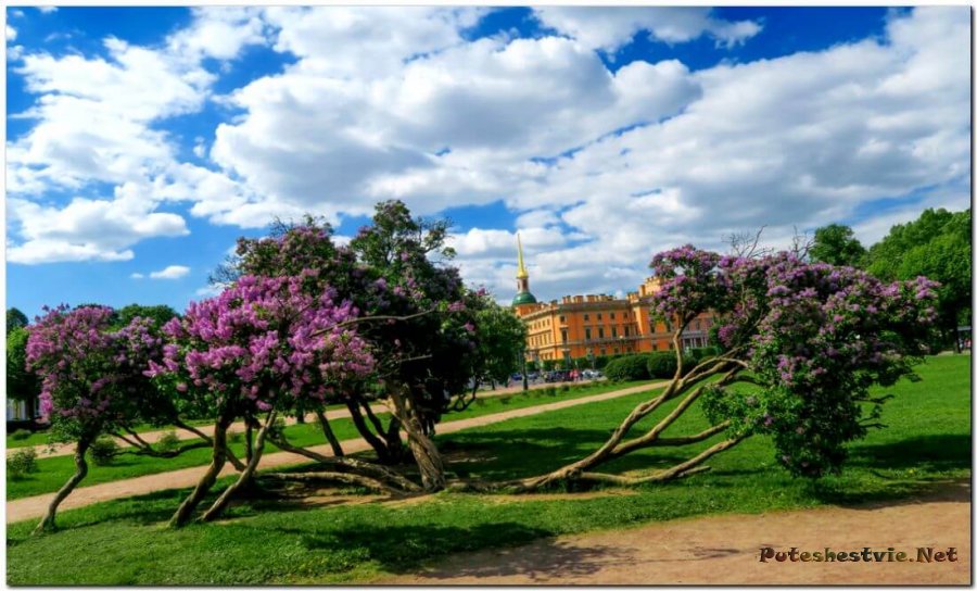 Марсово поле Марсово поле