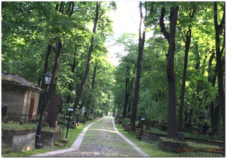 Смоленское кладбище Смоленское кладбище