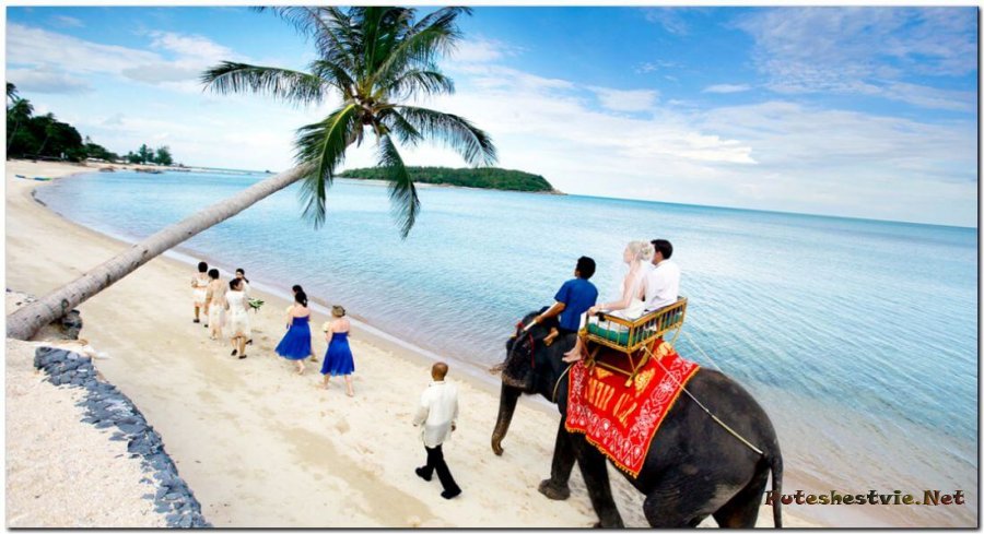 Лучший сезон для отдыха в Таиланде