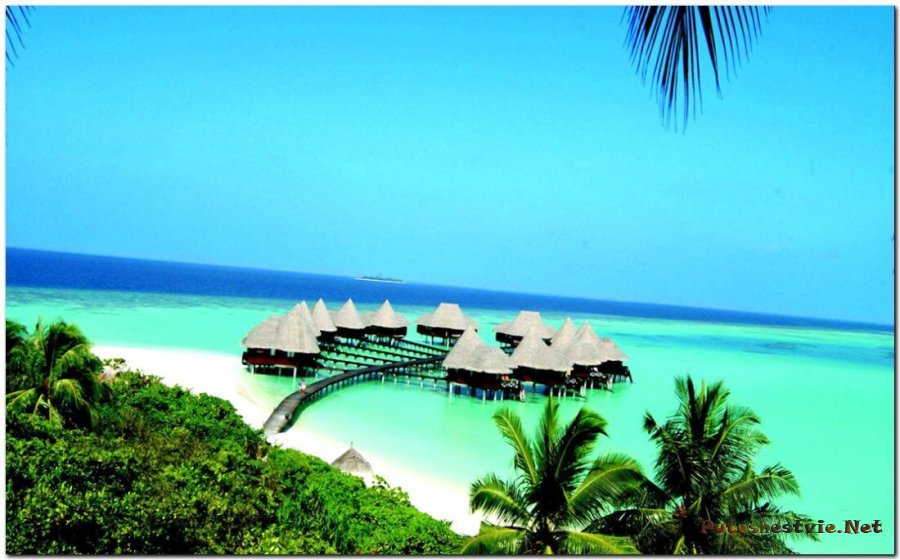 Пляж Коко Палм Пляж Коко Палм