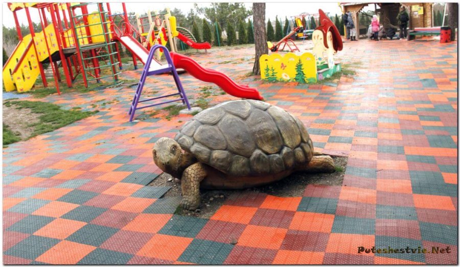 Сафари Парк в Геленджике