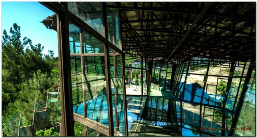 Сафари Парк в Геленджике