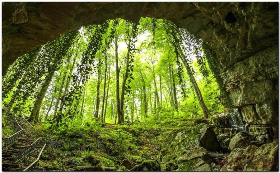Воронцовские пещеры в Сочи