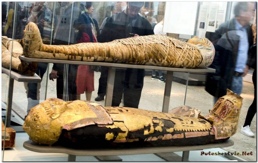 Коллекция Древнего Египта