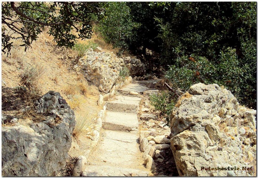 «Тропа здоровья»