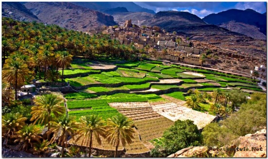 Отдых в Омане Отдых в Омане