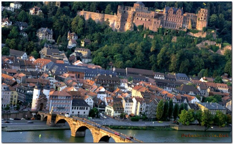 Получение гражданства Германии Получение гражданства Германии