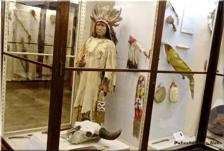 Музей Кунсткамера в Санкт-Петербурге Музей Кунсткамера в Санкт-Петербурге